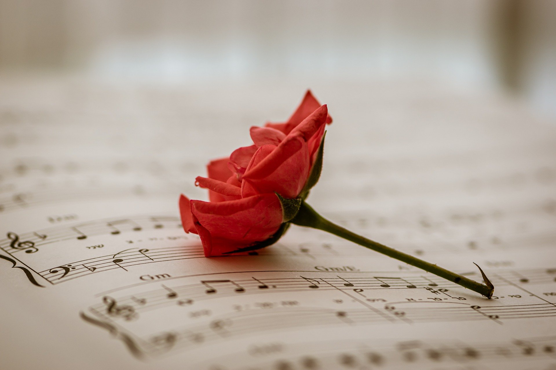 Musikalische Momente im Advent