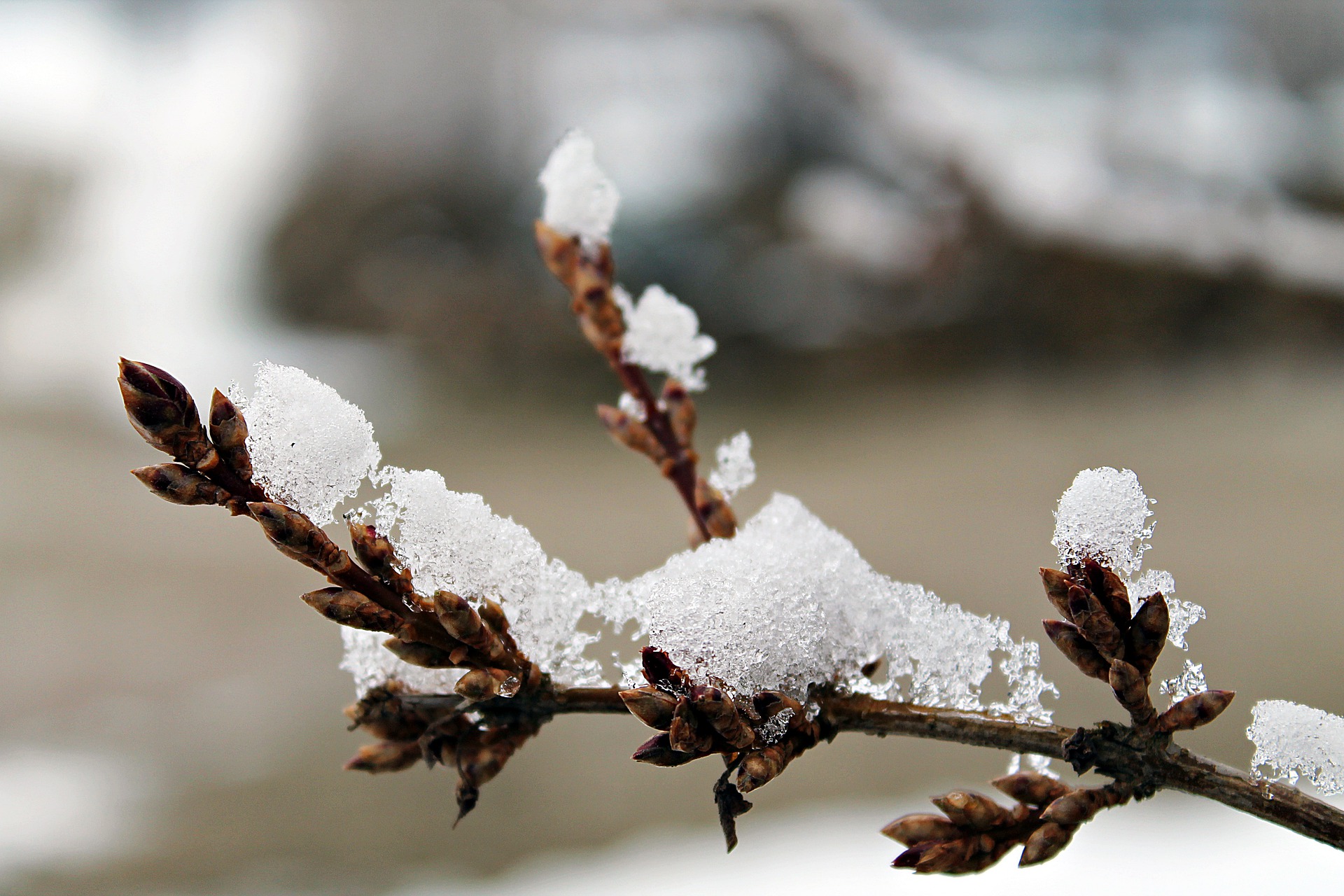 snow-5843324_1920 (c) pixabay